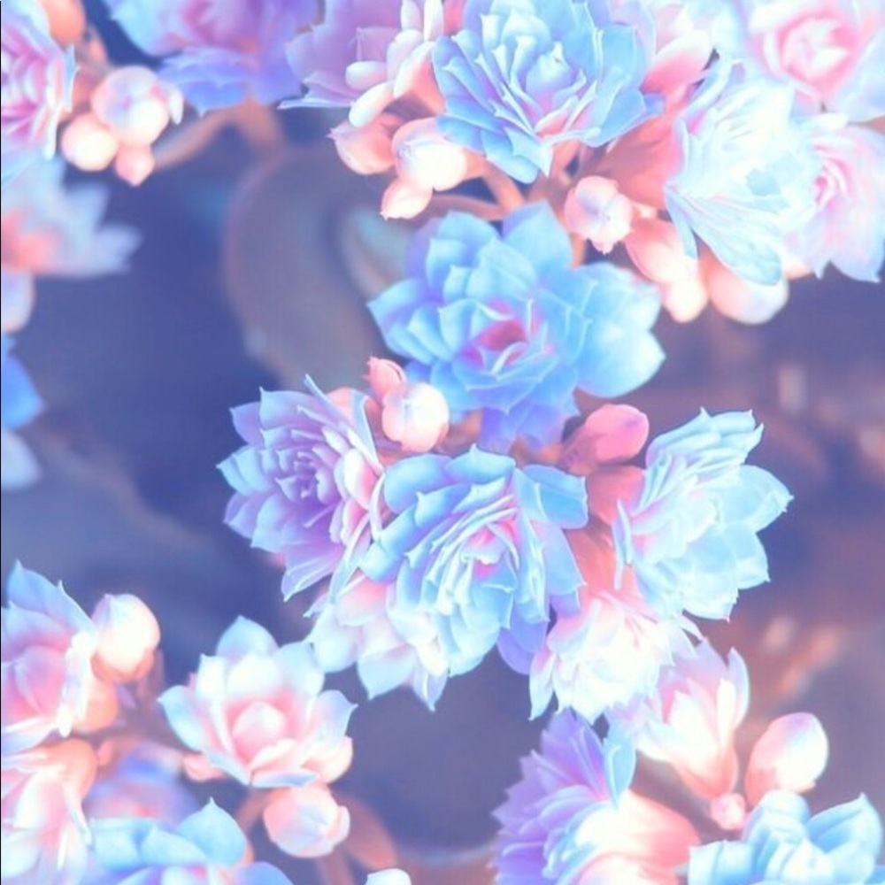 Meet Your Posher, Connie !